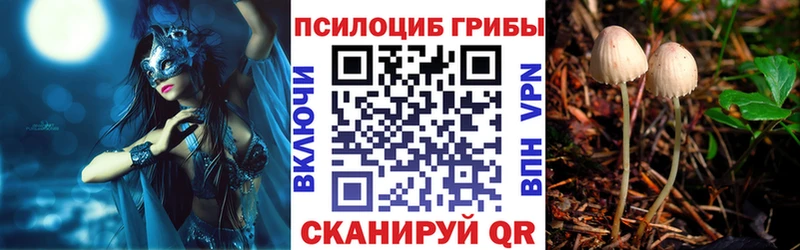 Псилоцибиновые грибы мухоморы  наркошоп  Октябрьск 